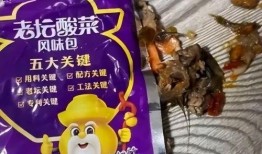老坛酸菜的爆料视频大全,揭秘行业黑幕与真相