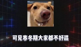 娱乐随拍吃瓜八卦,随拍吃瓜，揭秘明星八卦风云