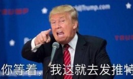 特朗普演艺圈爆料视频,揭秘名人圈层内幕