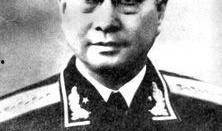 大将陈赓在线观看,在线重温革命英雄风采