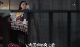 爆料姐姐的视频,独家内幕大公开