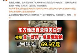 最新龙吟爆料新闻报道,揭秘神秘势力动向与未来走向