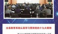 阜宁最新爆料案件新闻,案情细节及进展披露