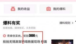 今日头条的爆料视频,揭秘视频背后的惊人真相！