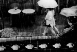 下雨在线观看,在线共赏诗意雨景