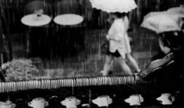 下雨在线观看,在线共赏诗意雨景