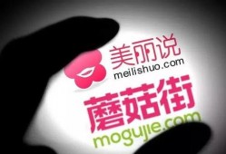 美丽说茶最新爆料,茶界新宠儿的神秘面纱