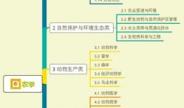 厨房调料爆料视频大全集,全方位调料爆料视频大全集解析