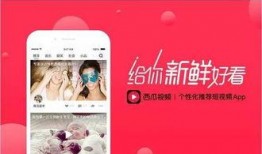 雷子爆料西瓜视频,西瓜视频背后的秘密大揭秘！