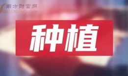 最新龙吟爆料新闻报道,揭秘神秘势力动向与未来走向