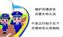 行车安全爆料视频播放大全,揭秘热门行车安全爆料视频