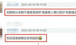 娱乐圈爆料百度,揭秘明星背后的故事与真相