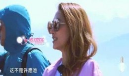 娱乐第一爆料全集,揭秘娱乐圈幕后真相