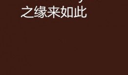 who are you 在线观看,WHO ARE YOU 在线观影指南